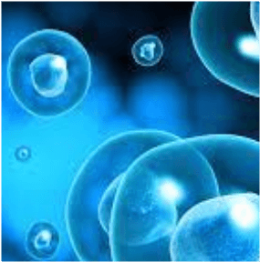 Diz Kıkırdak Erimesine Kök Hücre Tedavisi