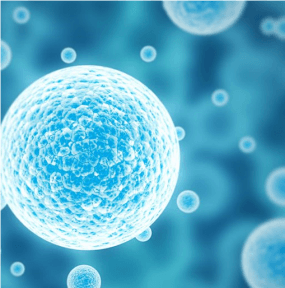 Kök hücre tedavisi ile diz ve kalça kireçlenmesine son!