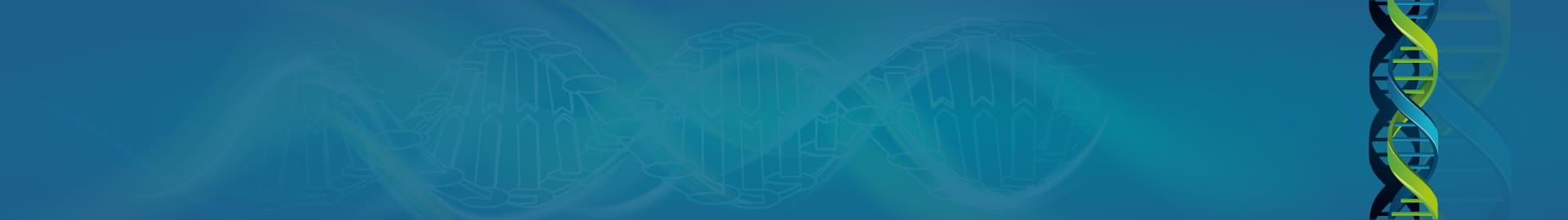 Kök Hücre ile Kalça Kireçlenmesi Tedavisi