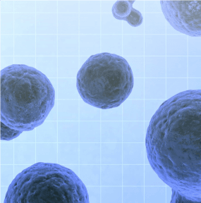 Ortopedik sorunların kök hücre ile tedavisi